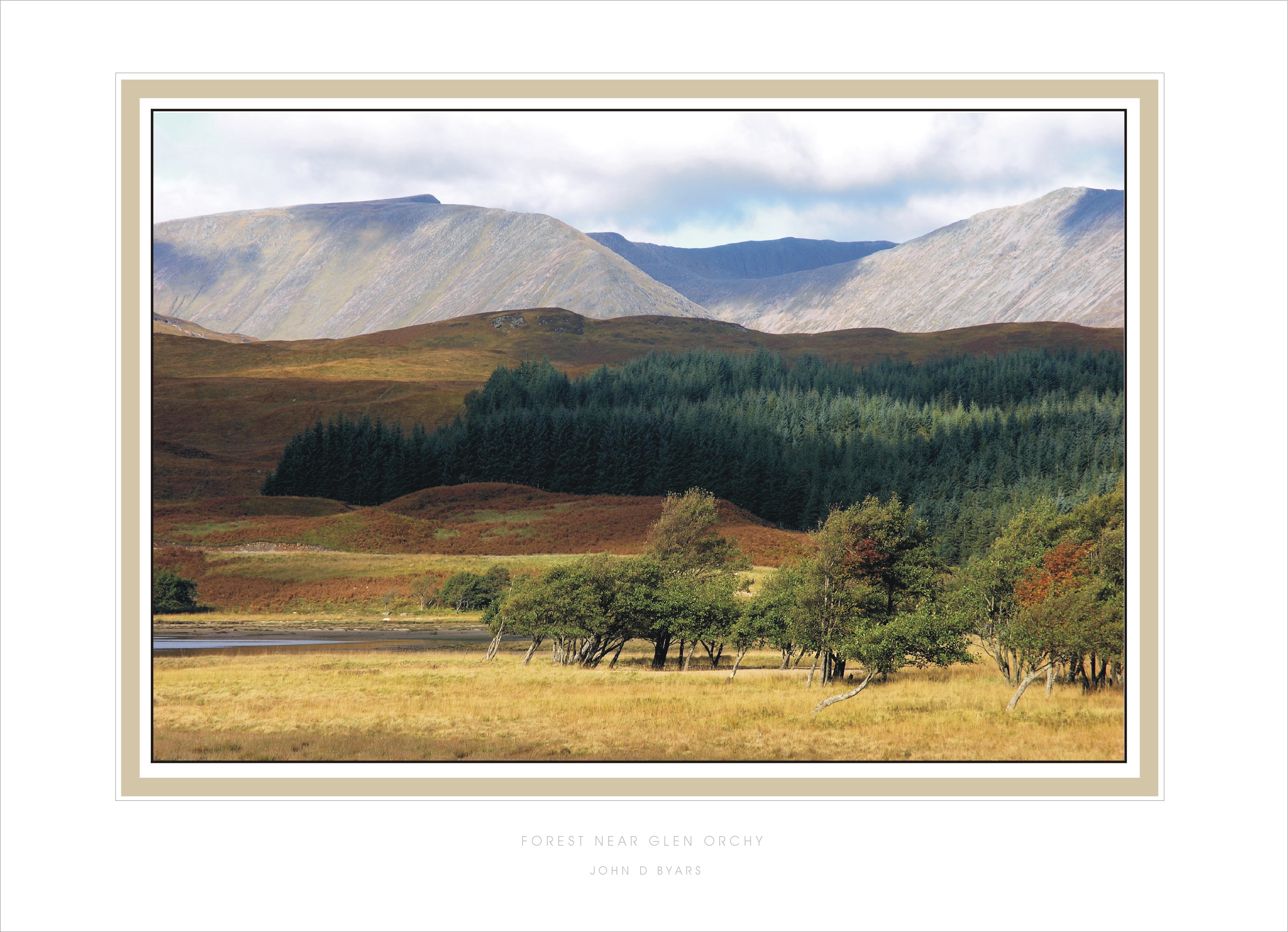 FOREST NEAR GLEN ORCHY
